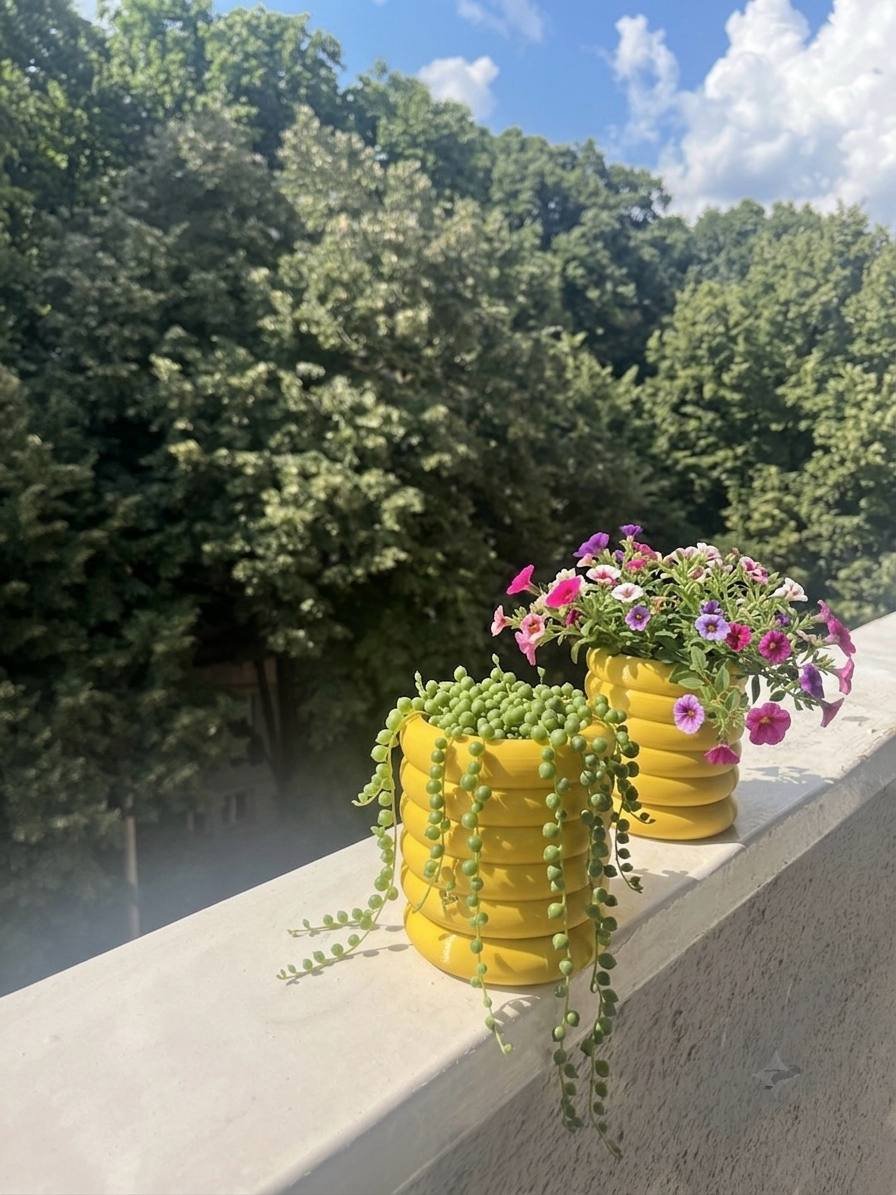Two yellow planters on a white concrete railing. The planters are filled with small green plants and pink and purple