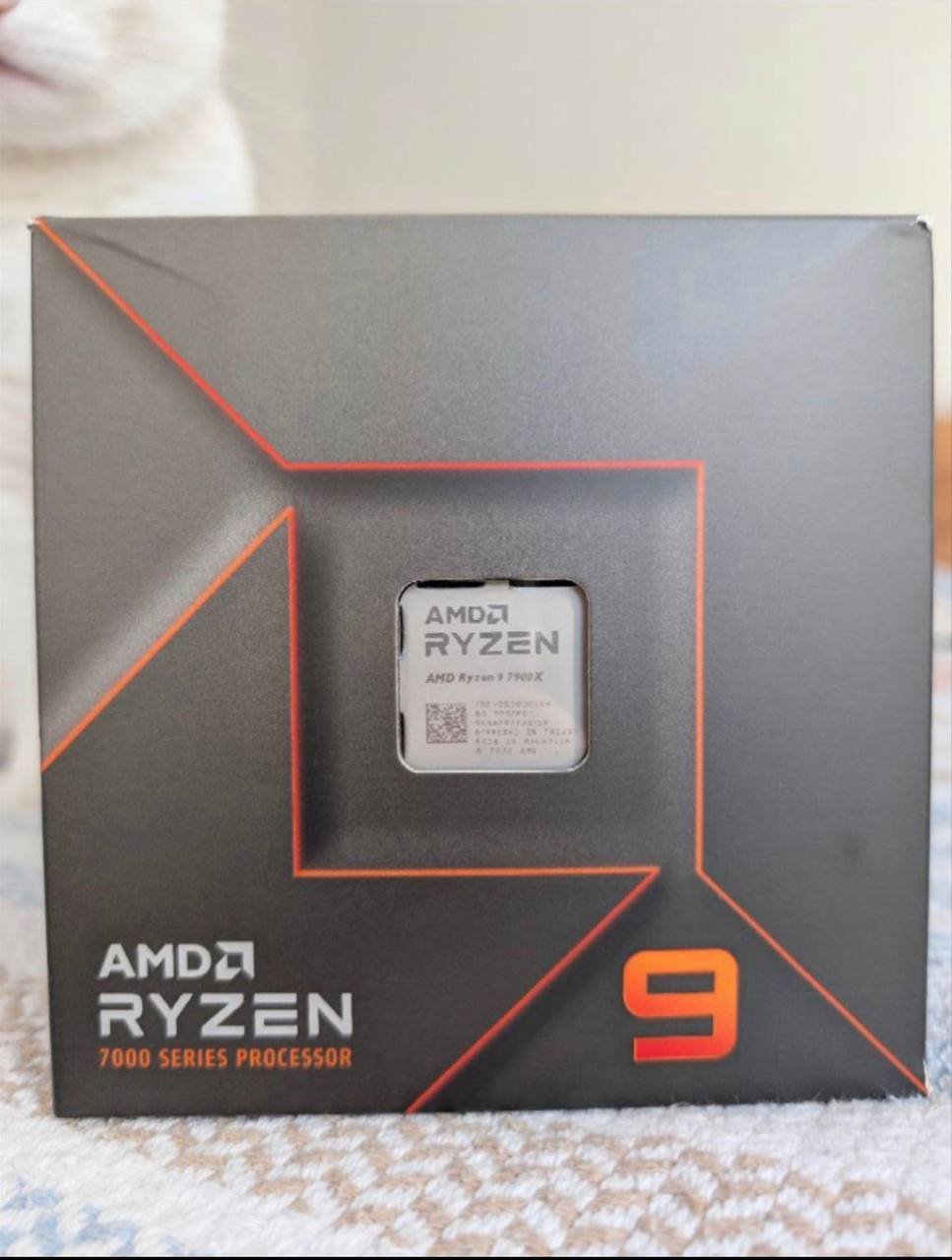 AMD Ryzen 9 7900X processor (boxed) + cooler, 200 EUR — Valencia, Spain