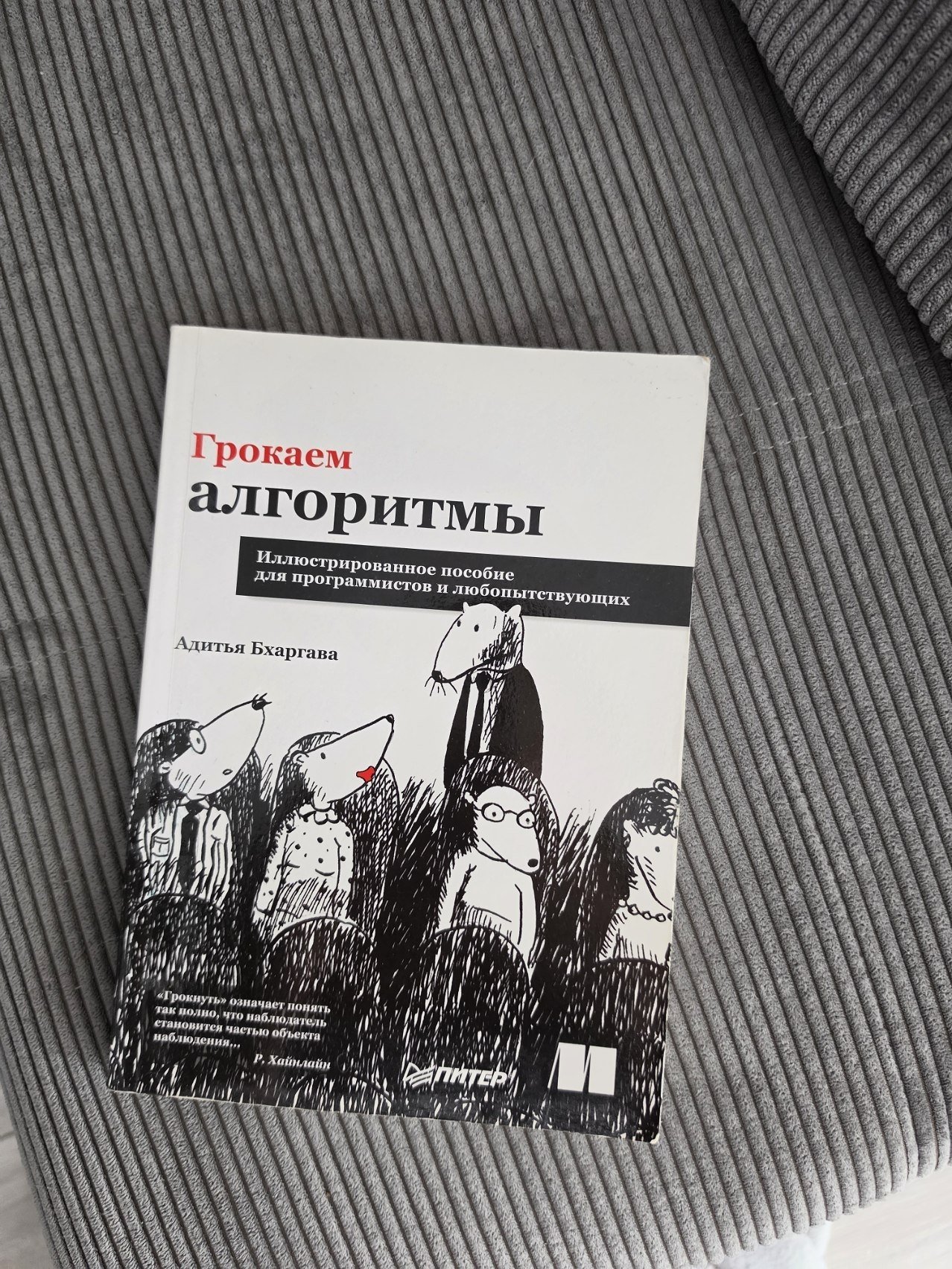 Книга для айтишников «Грокаем алгоритмы» — Тбилиси, Грузия Книга для айтишников «Грокаем алгоритмы» — хорошее — Тбилиси, Грузия