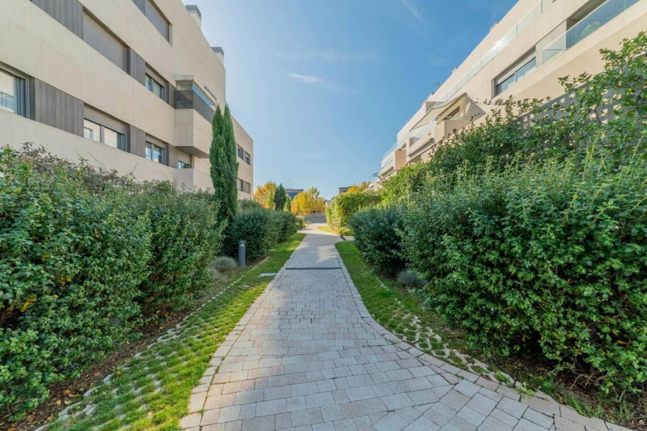 Long, narrow pathway made of gray tiles in the center of the image. The pathway is surrounded by a well-manicured garden
