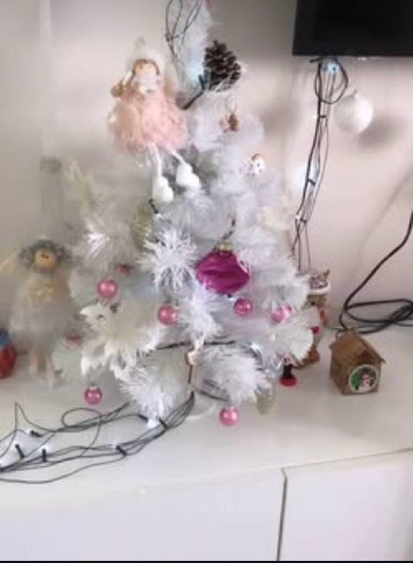 Árbol de Navidad 25 GEL — Batumi, Georgia