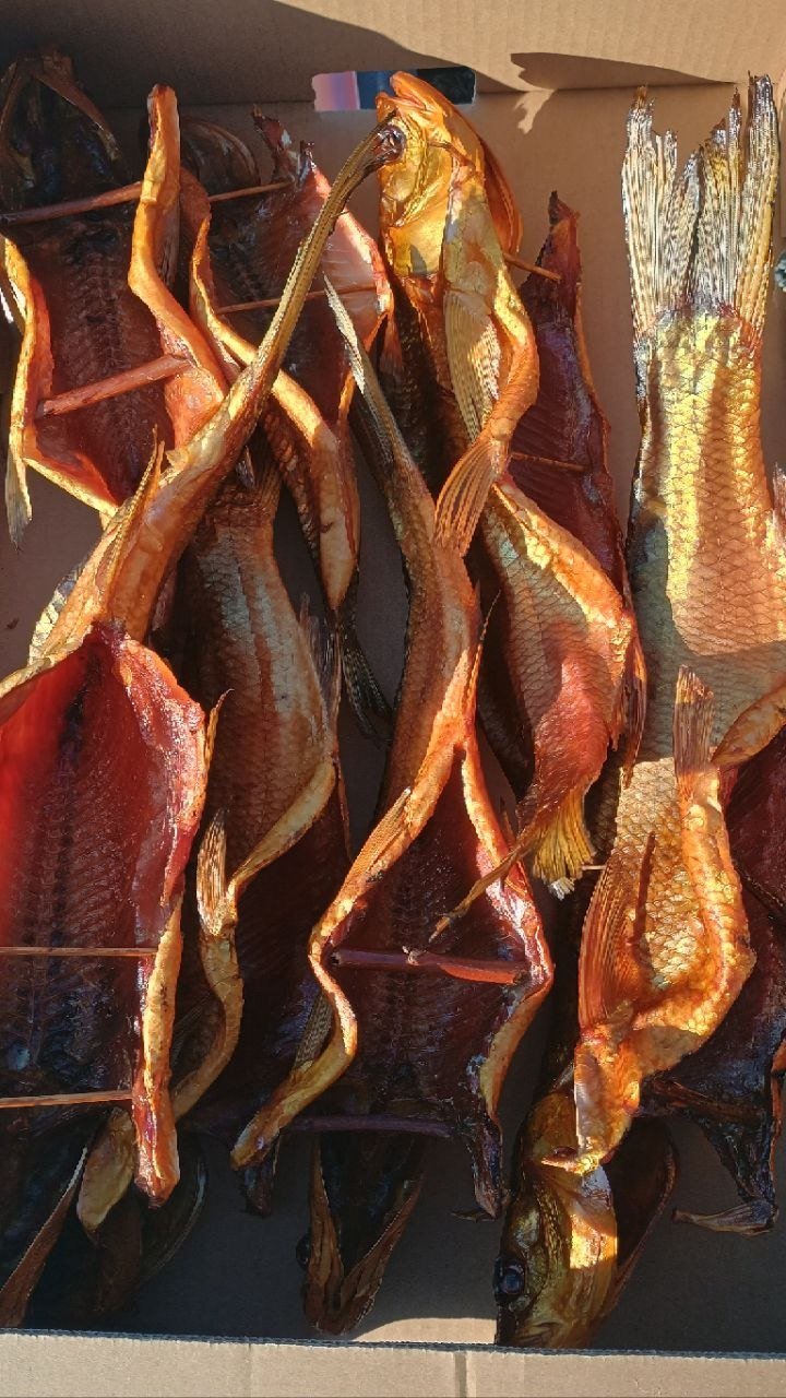 Pescado ahumado en frío (aserrín de haya) — Belgrado, Serbia Pescado ahumado en frío (aserrín de haya) — Belgrado, Serbia