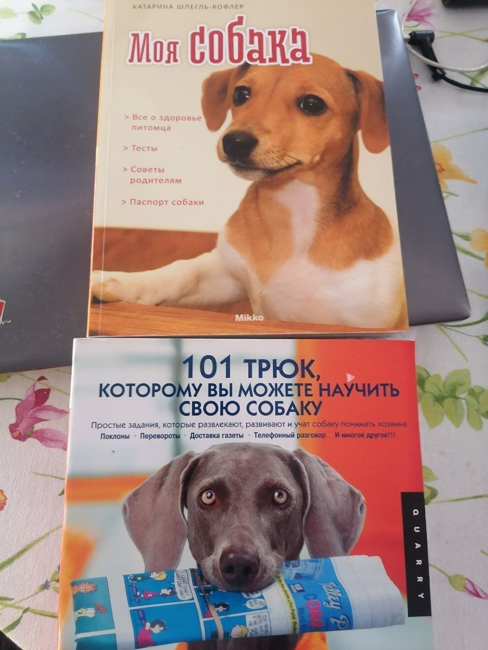 Книги о собаках: «Мольца Совака» и «101…» — Лимасол, Кипр