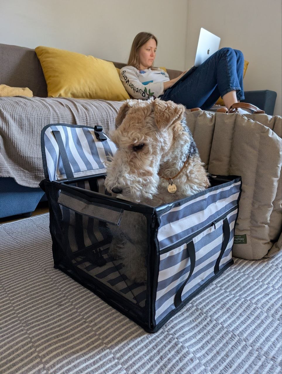 Cama colgante para perro nueva (Temu) — nuevo — Belgrado, Serbia