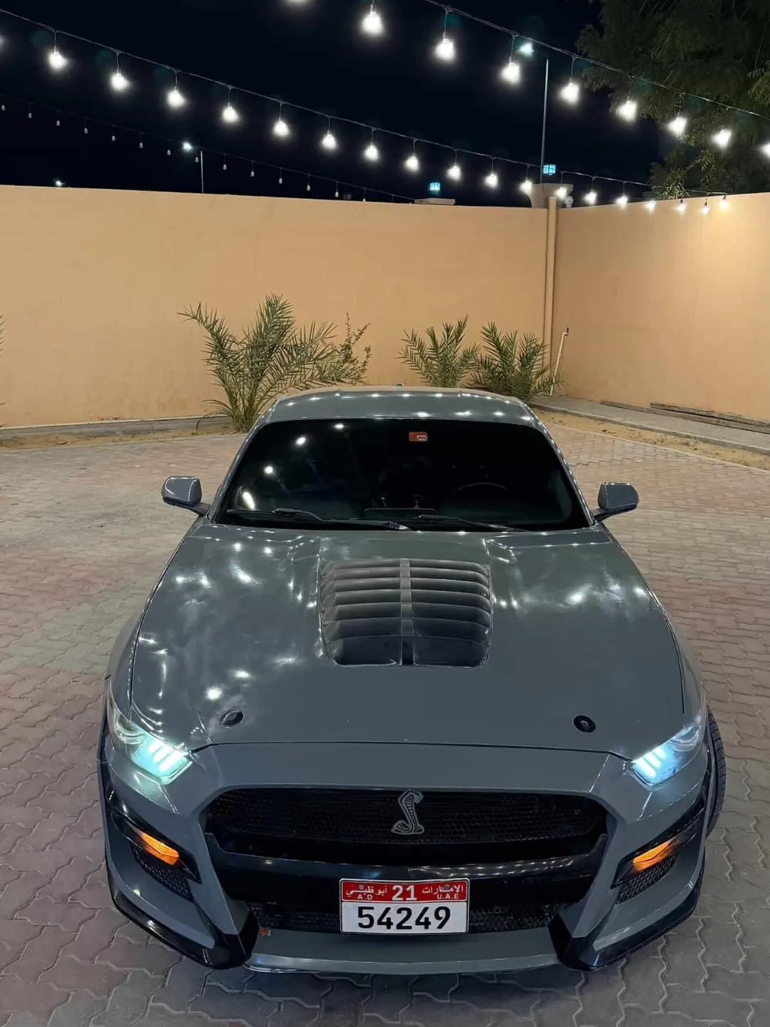 Ford Mustang EcoBoost Premium 2016 silver — Dubai, UAE
