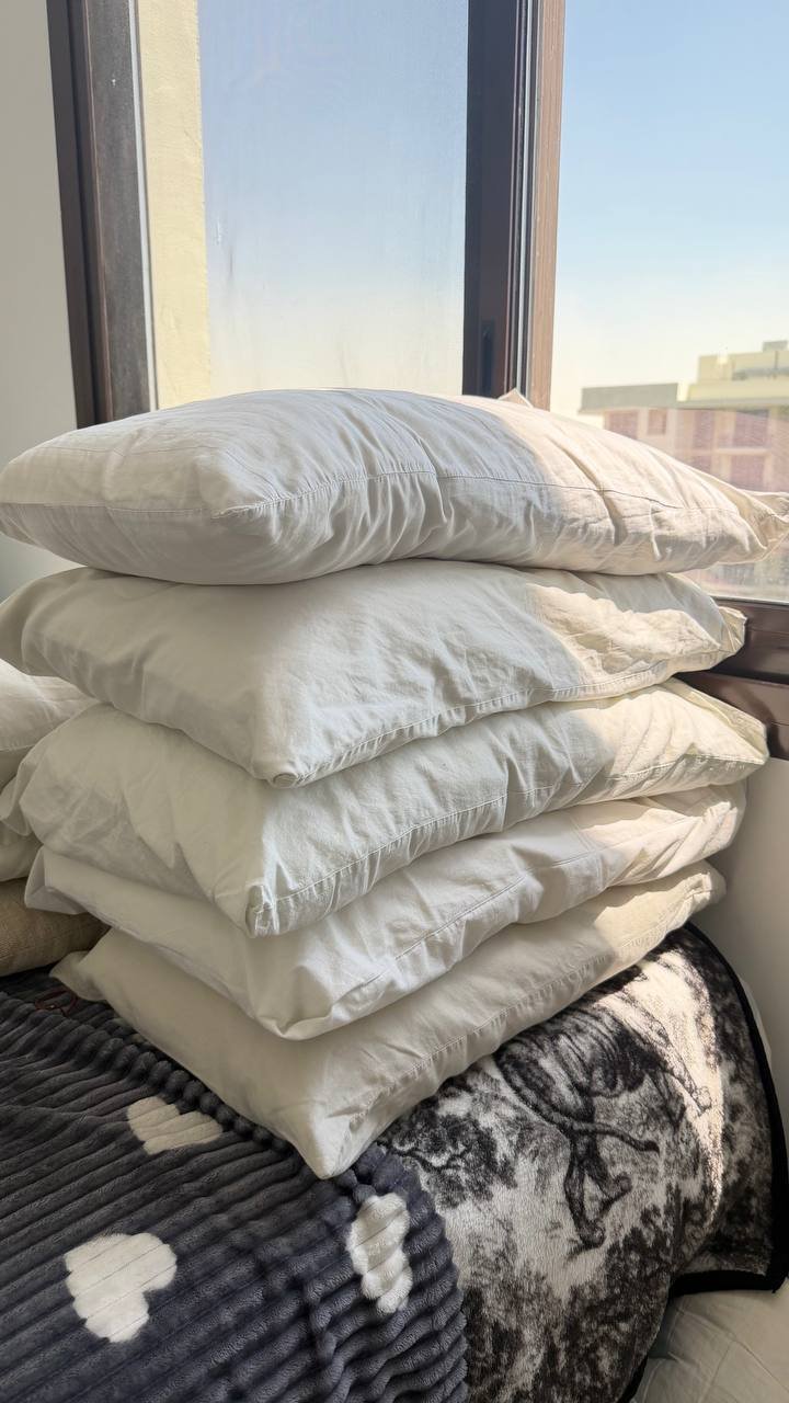 وسائد ايكيا 6 قطع بـ 160 درهم — دبي, الإمارات