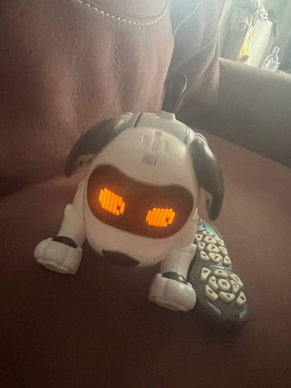 Interactive robot dog toy with remote — perfect — Batumi, Georgia
