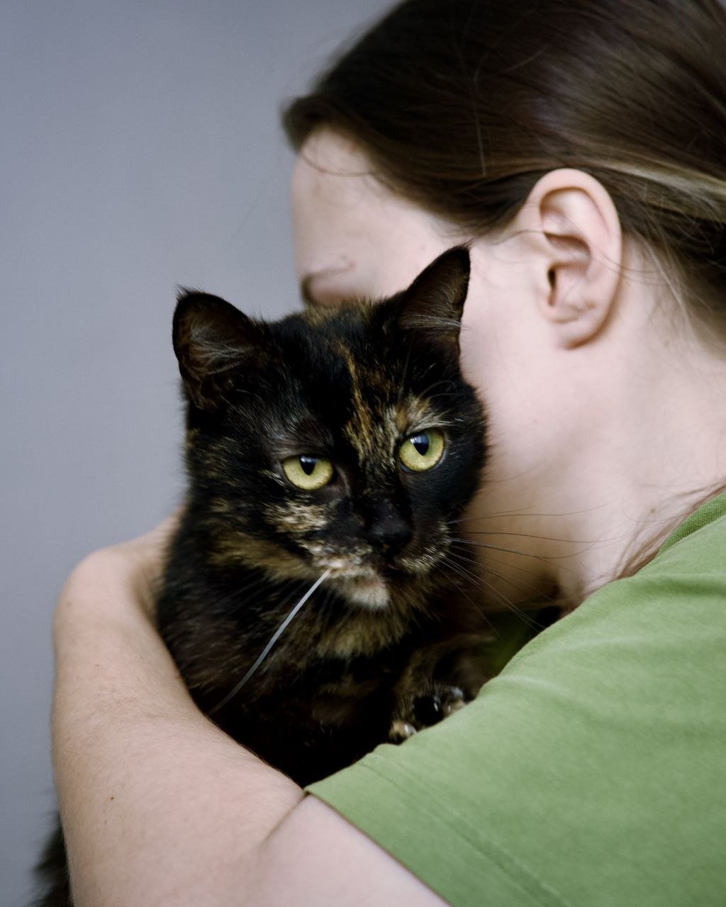 قطّة إيريسكا عمر سنتين معقّمة ومُطعّمة — spayed and vaccinated — باتومي, جورجيا
