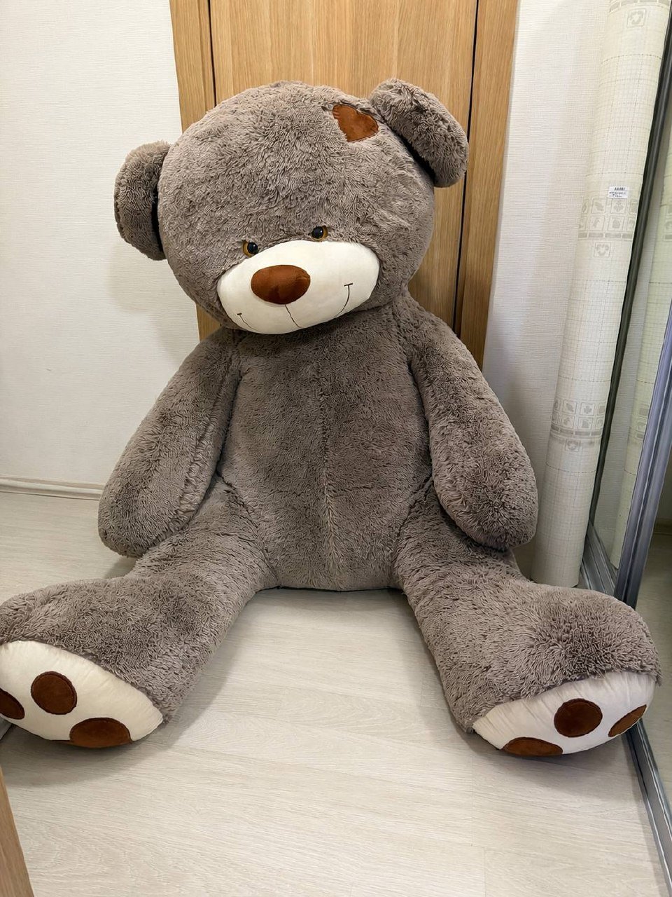 Large plush teddy bear 180 cm — Saint Petersburg, Russia