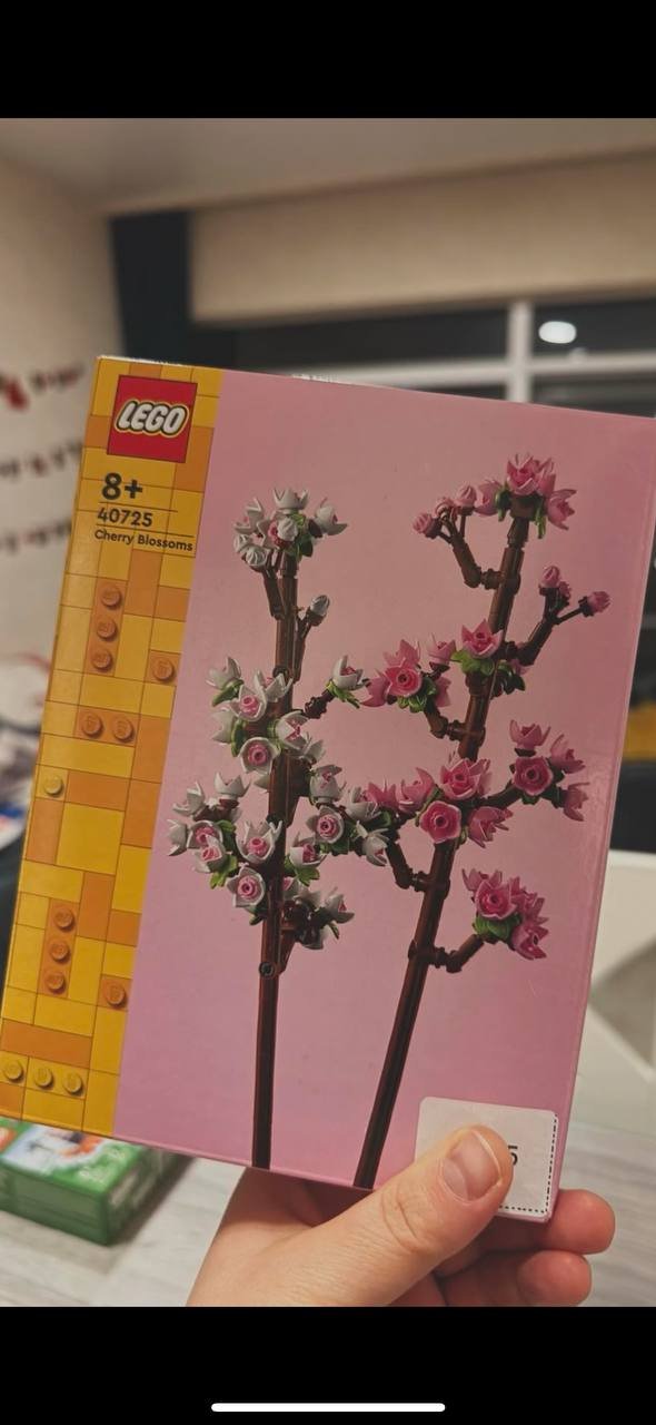 LEGO 8+ 40725 Cherry Blossoms — Batumi, Georgia LEGO 8+ 40725 Cherry Blossoms — used — Batumi, Georgia