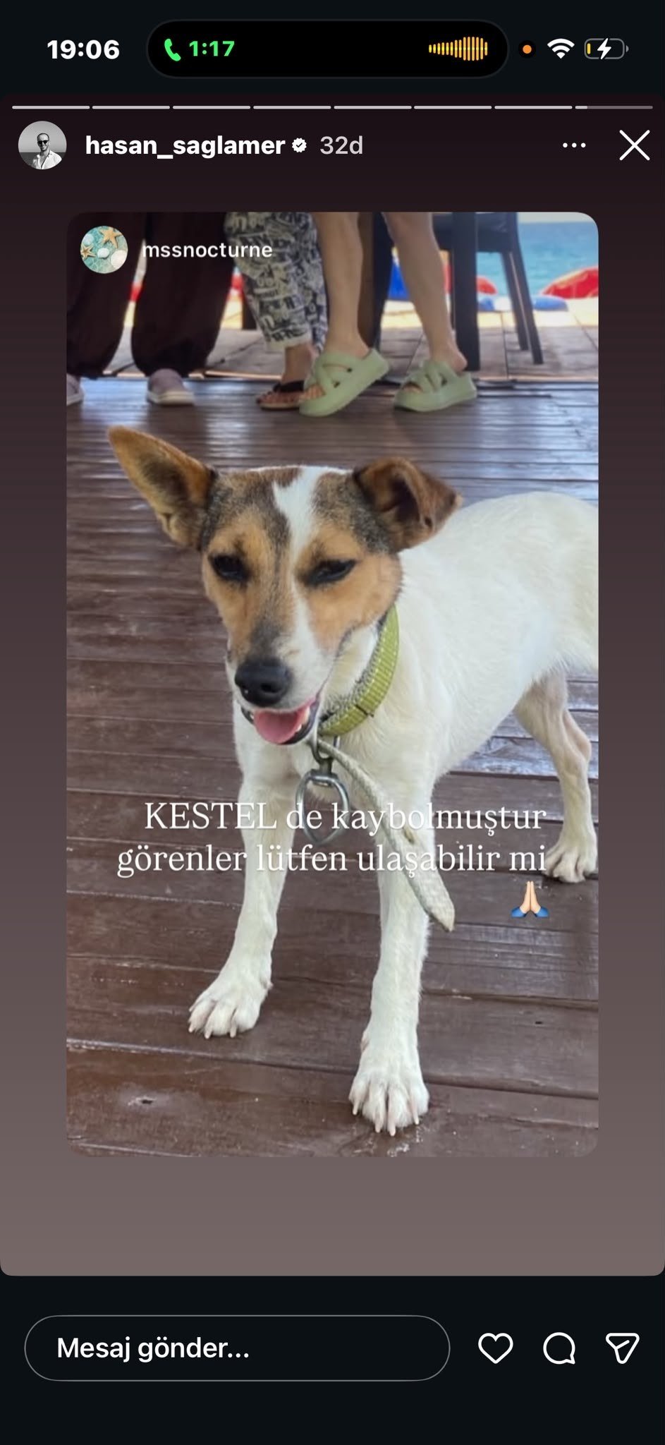 Lost small dog (Kestel, 49 beach) — Alanya, Turkey Lost small dog (Kestel, 49 beach) — Alanya, Turkey