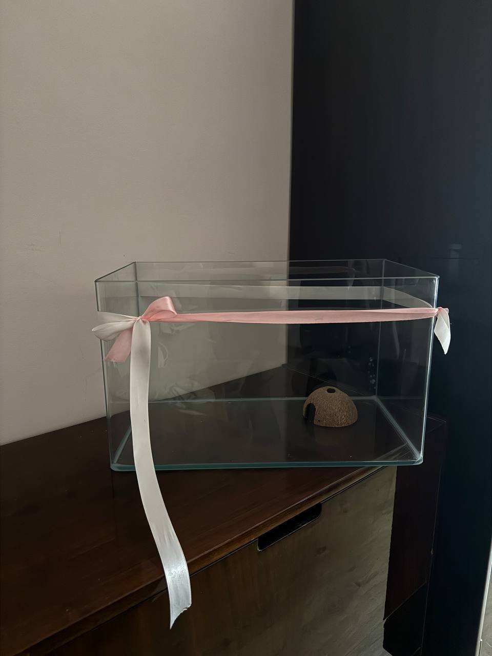 New terrarium 15,000 AMD — new — Yerevan, Armenia