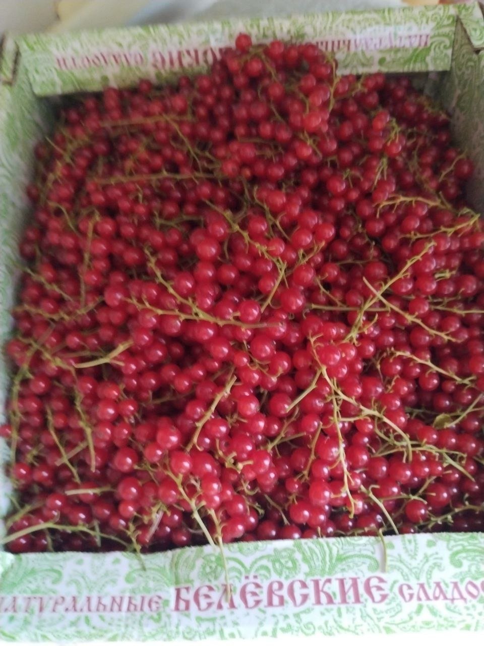 الكشمش الأحمر، 1800 روبل — fresh — موسكو, روسيا