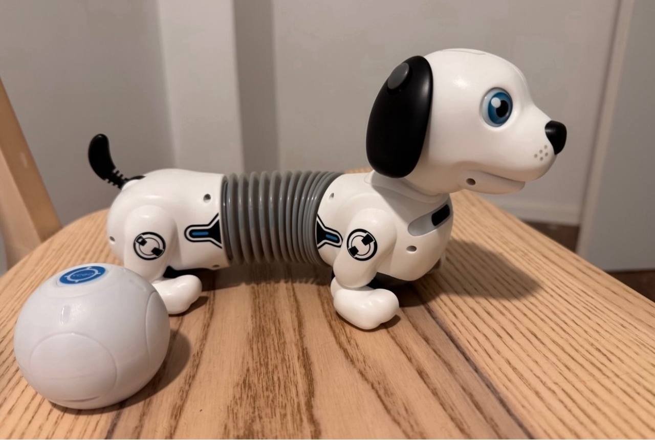 Robotic toy dog with ball remote — Valencia, Spain