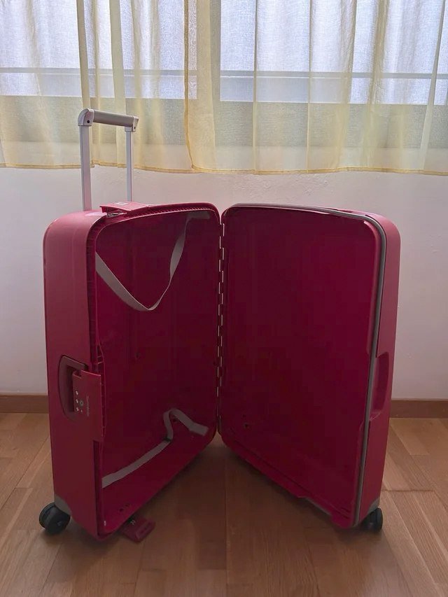 Чемодан Samsonite Spinner L, 102 л — Валенсия, Испания