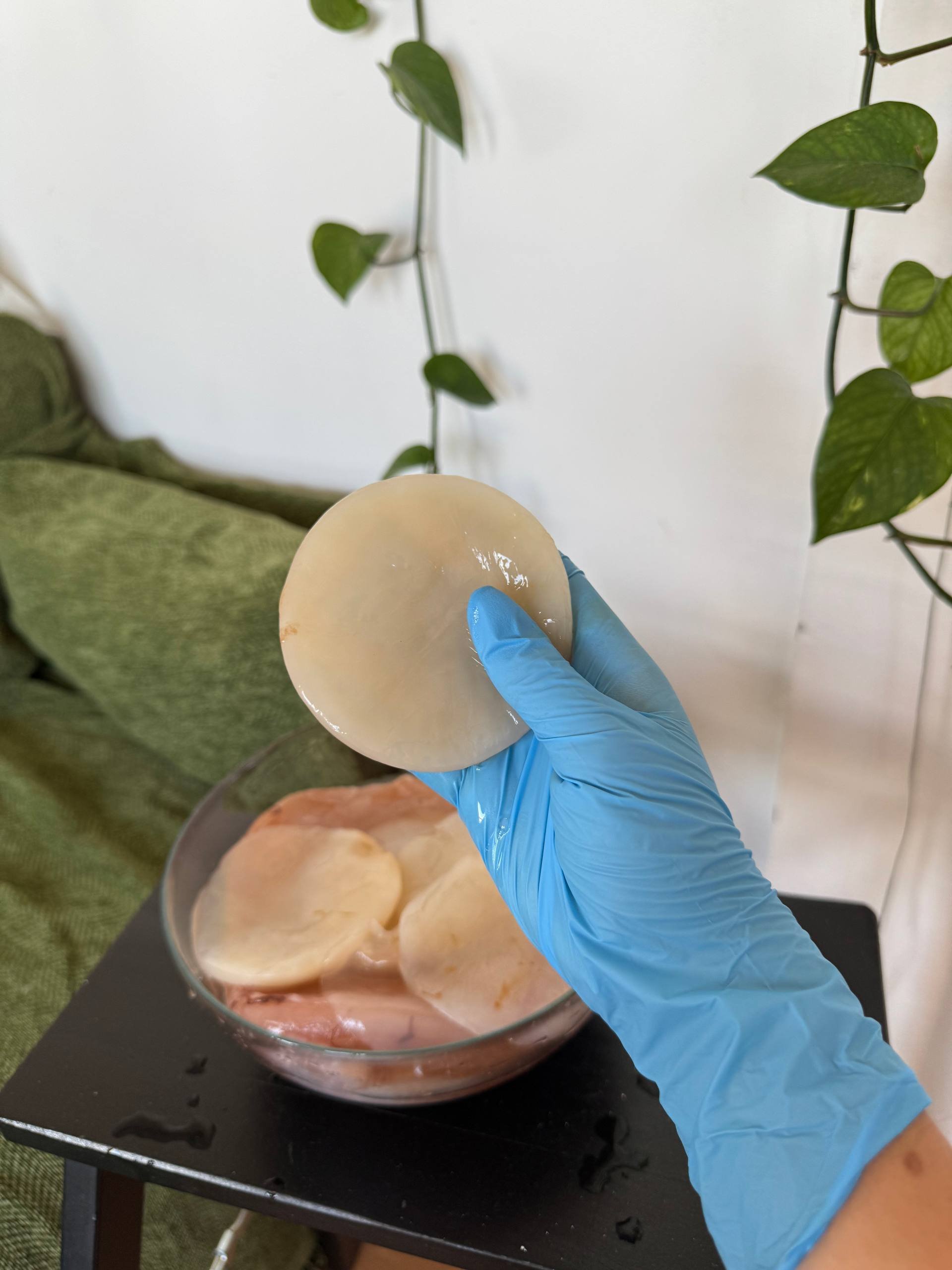 مزرعة SCOBY لتحضير كومبوتشا منزلي — — بلغراد, صربيا
