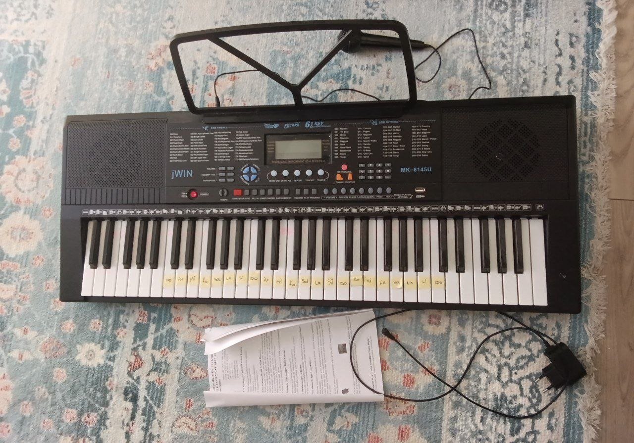 Synthesizer 1000 lira, works — Antalya, Turkey Synthesizer 1000 lira, works — Antalya, Turkey