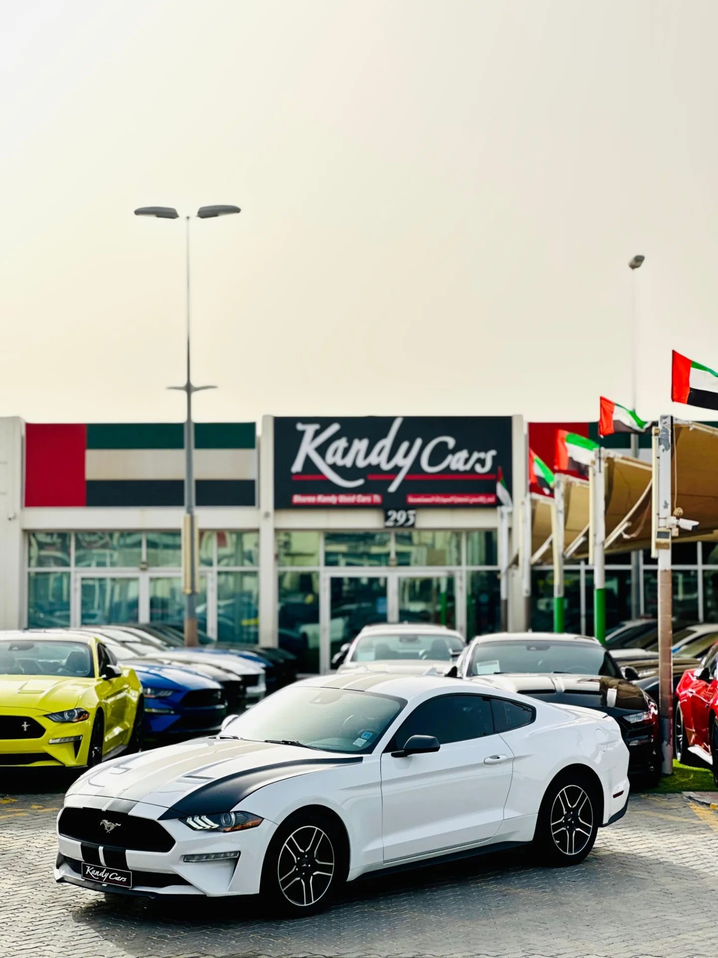 Ford Mustang EcoBoost 2022 белый, AED 78,000 — Дубай, ОАЭ Ford Mustang EcoBoost 2022 белый, AED 78,000 — Дубай, ОАЭ