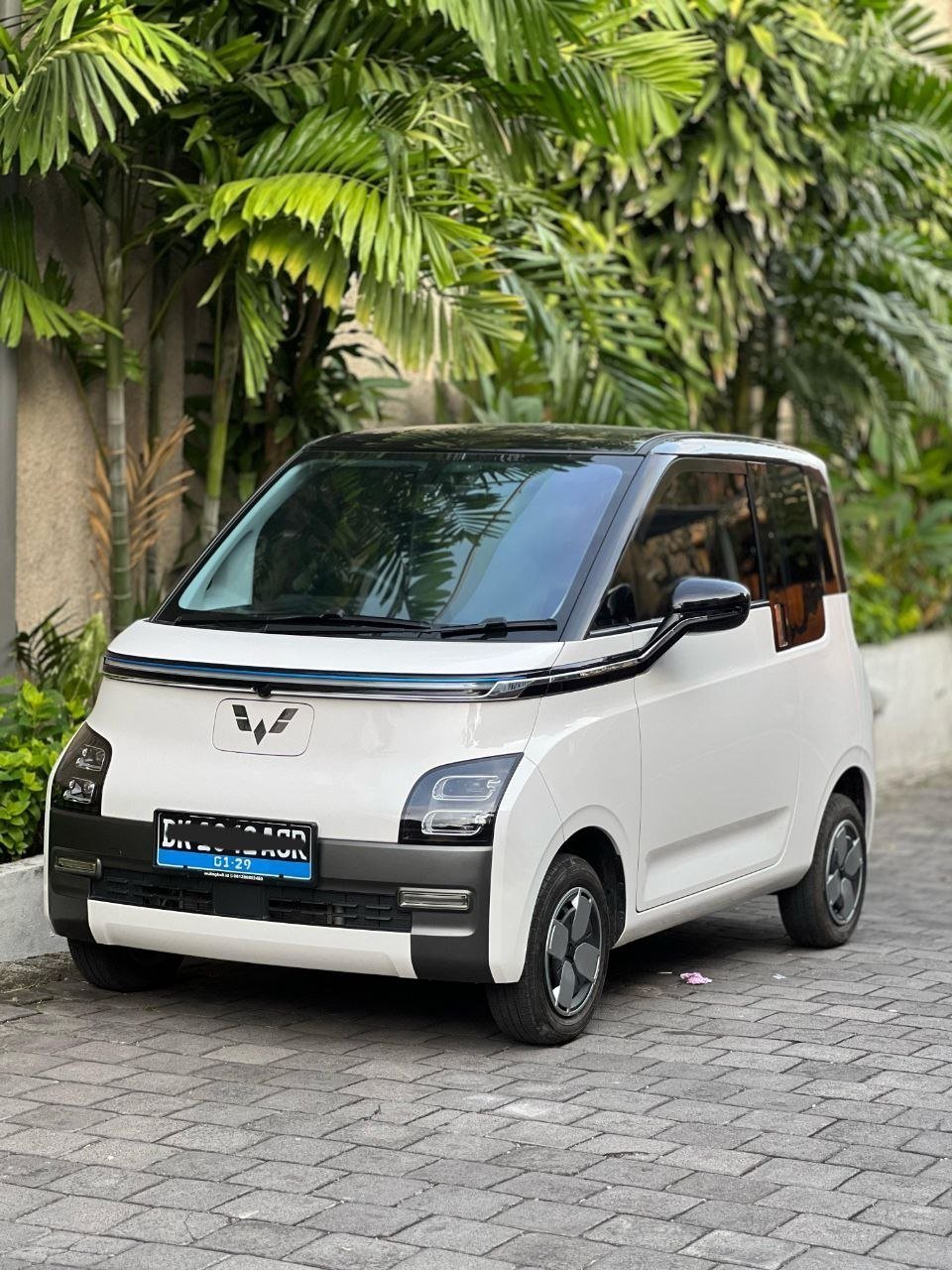 ولينغ EV لونغ رينج 2023 — بالي, إندونيسيا ولينغ EV لونغ رينج 2023 — بالي, إندونيسيا